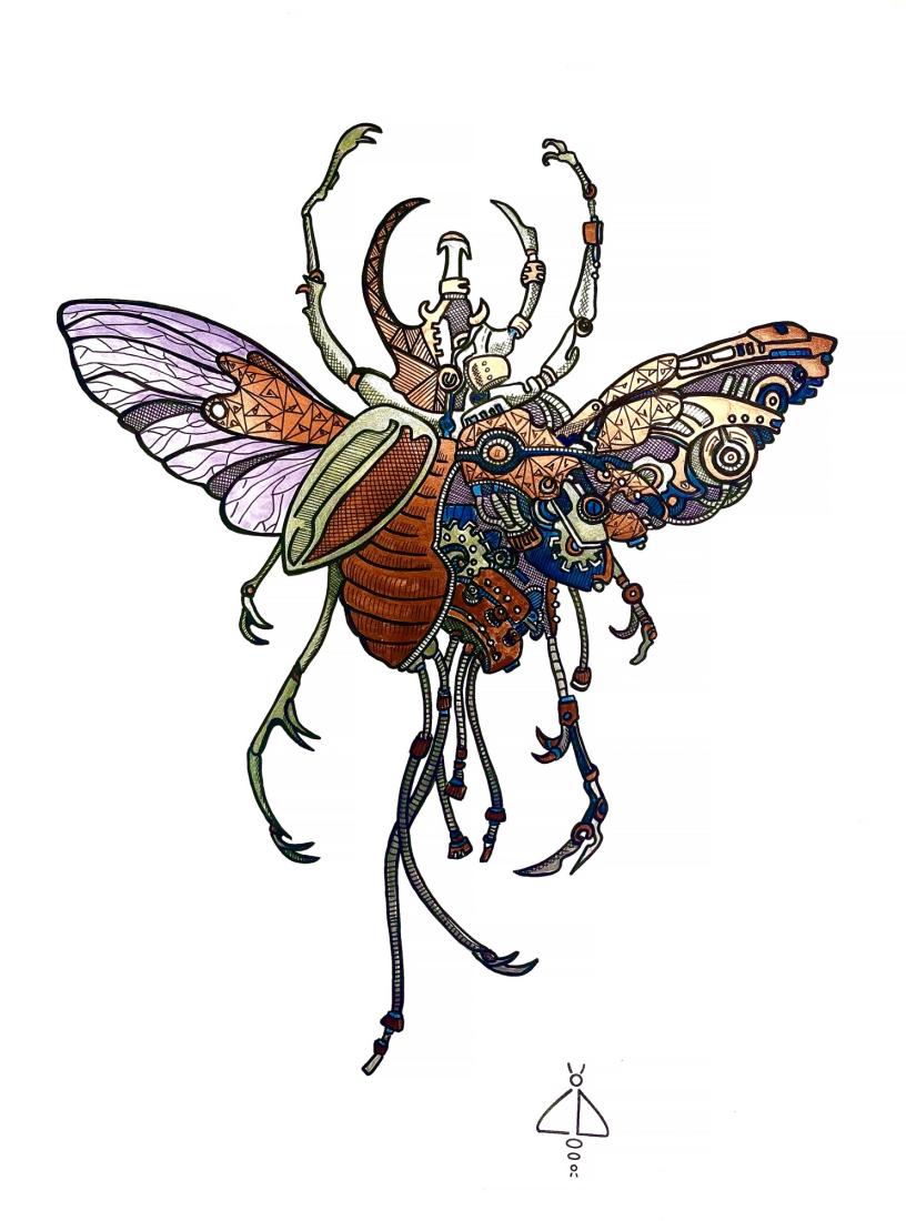 Insecte